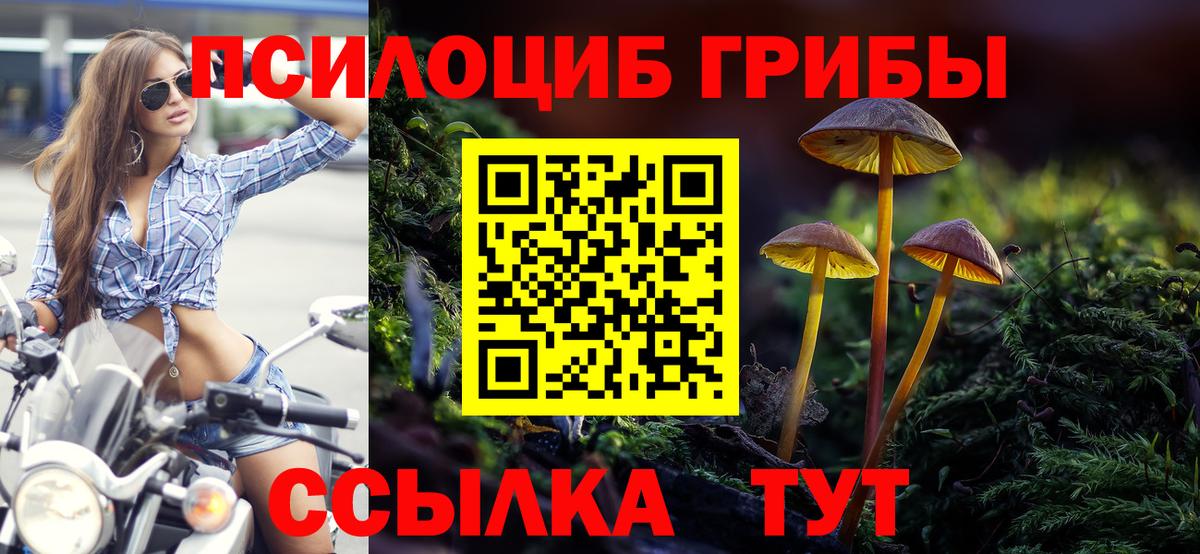Соль-Илецк  Галлюциногенные грибы прущие грибы  Вход с VPN 